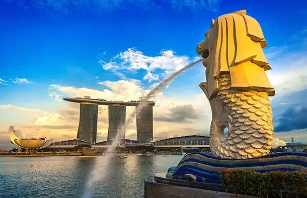 Travel pick
